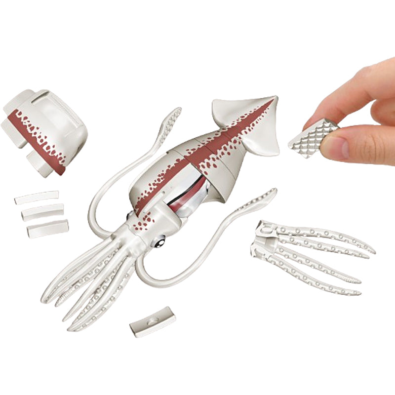 KAITAI Puzzle Squid - Thumbnail, Base