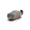 Darwin's Amazing Animals Miniature Figure Collection (10 types / 10 per box) 