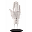 1/1 Artist Support Item: Hand Model/R [White] Thumbnail, Base