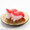 1/1 Sushi Monster Sushi-La (8 Types / 6 Per Box) 