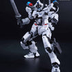 1/100 Norme Police Type Model Kit 1/100 Norme Police Type Model Kit