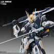1/100 YR-05 Nether Emperor F.A. Model Kit 1/100 YR-05 Nether Emperor F.A. Model Kit