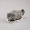 Darwin's Amazing Animals Miniature Figure Collection (10 types / 10 per box) 