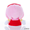 Amy M Plush (Sonic & Friends) Amy M Plush (Sonic & Friends)