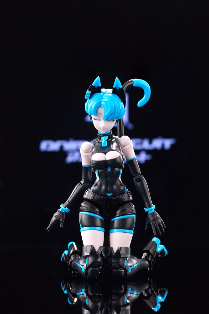 1/12 Sora the Cat SP Ver. (Anima Circuit)