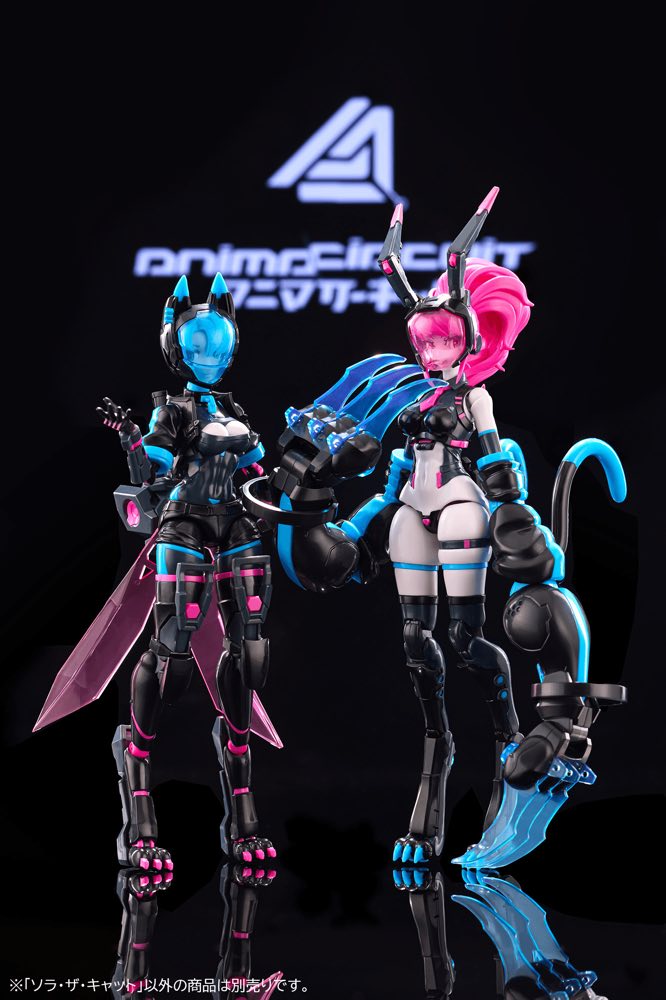 1/12 Sora the Cat SP Ver. (Anima Circuit)