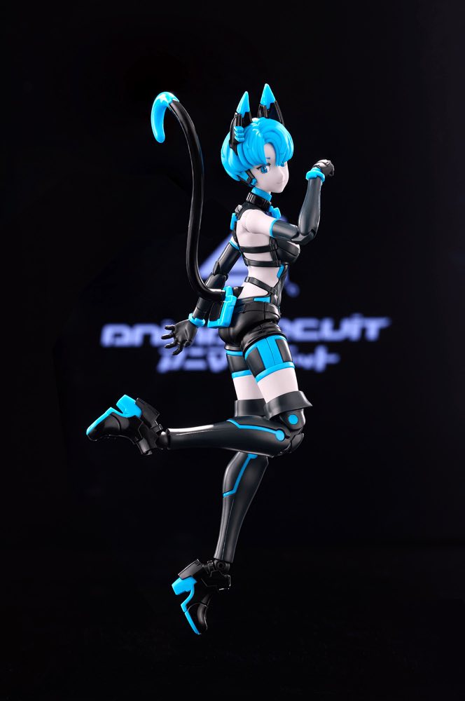 1/12 Sora the Cat SP Ver. (Anima Circuit)