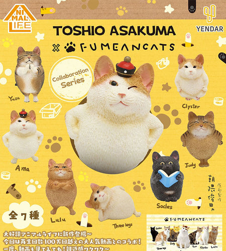ANIMAL LIFE - Collaboration Series TOSHIO ASAKUMA × FUMEANCATS (7 Types / 8 Per Box) - Box image