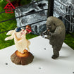 ANIMAL LIFE - Kung Fu Fighting (6 Types / 8 Per Box) 