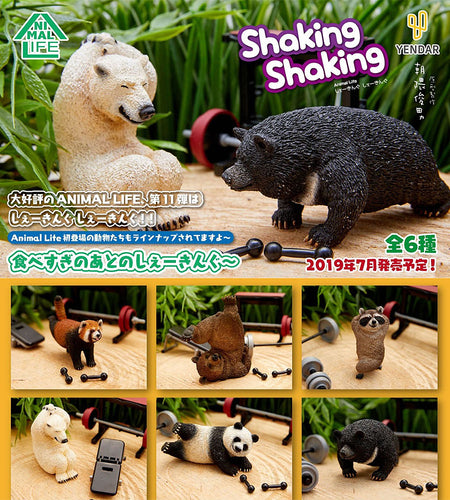 ANIMAL LIFE - Shaking Shaking (6 Types / 8 Per Box) - Box image