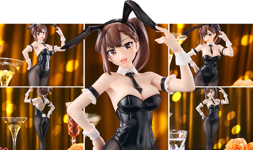 BiCute Bunnies: Hisako Kotobuki (There Is Also a Hole in the Student Organization!) - Box image