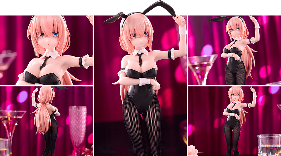 BiCute Bunnies: Komaro Michinoku (There Is Also a Hole in the Student Organization!) - Box image