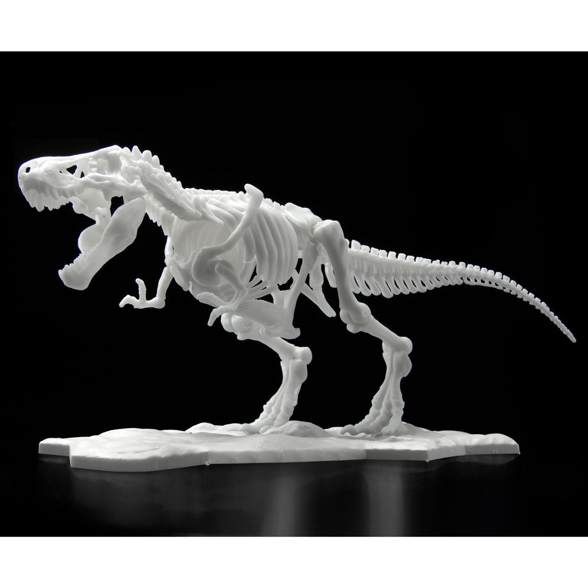 Dinosaur Model Kit Limex Skeleton Tyrannosaurus – Gundam Planet