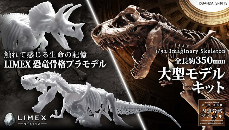 Dinosaur Model Kit Limex Skeleton Tyrannosaurus - Box image