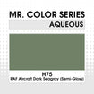 H75 RAF Aircraft Dark Seagray (Semi-Gloss) 