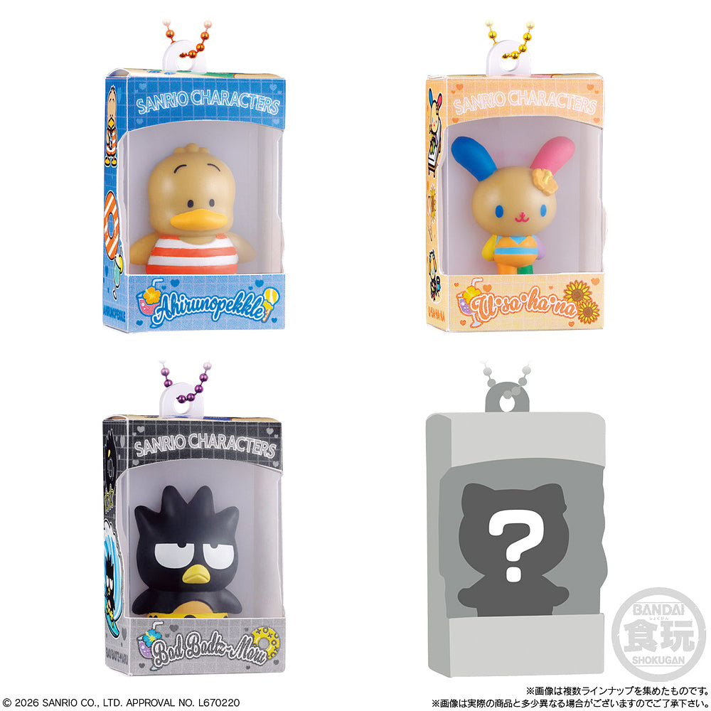 Hello Kitty and Friends Shokugan Box Collection Wave 4 (Box of 12)