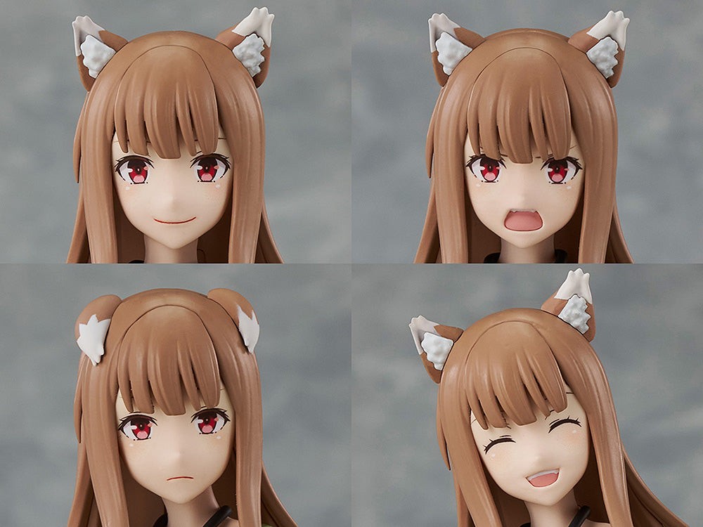Holo Model Kit DX Ver. (Spice and Wolf)
