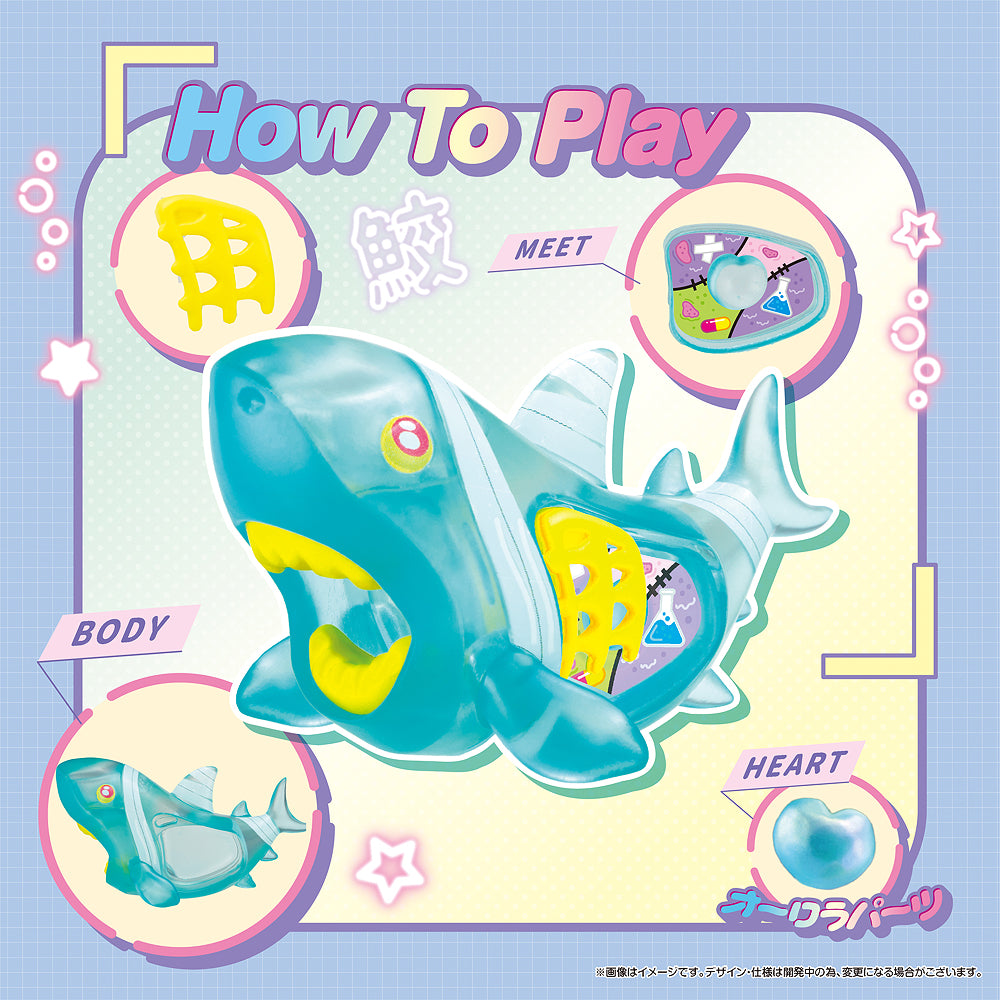 KAITAI Fantasy Clear Shark Collection (box of 4)