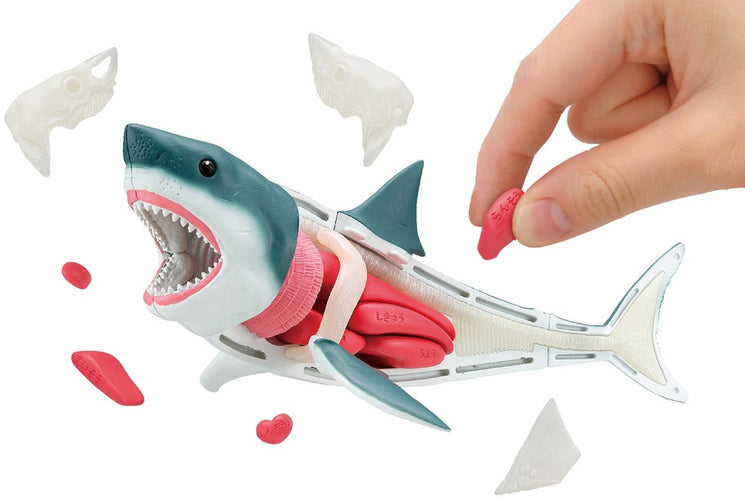 KAITAI Puzzle Shark - Box image