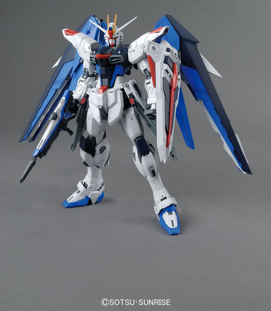 MG ZGMF-X10A Freedom Gundam Ver 2.0