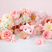 mofamofy My Melody Pastel Colors Ver. (Sanrio) mofamofy My Melody Pastel Colors Ver. (Sanrio)