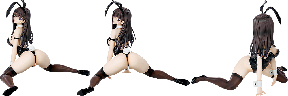 Non-Scale Toi Tsukimino (Illustration by T2ARTWORKS) - Box image