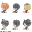Nuippo Haikyu!! (6 types / 6 per box) 