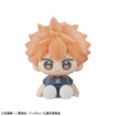 Nuippo Haikyu!! (6 types / 6 per box) 