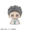 Nuippo Haikyu!! (6 types / 6 per box) 