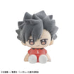 Nuippo Haikyu!! (6 types / 6 per box) 