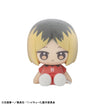 Nuippo Haikyu!! (6 types / 6 per box) 