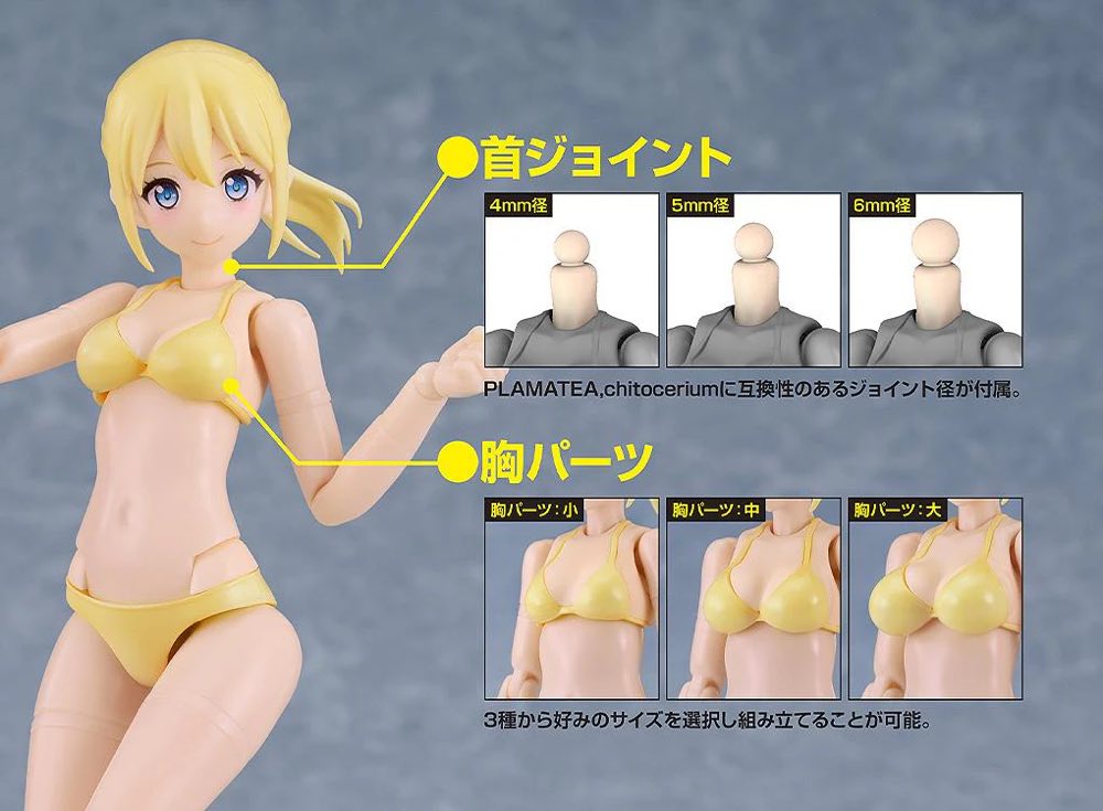 PLAMATEA Muse Body: Ichika - Bikini Ver. B Type