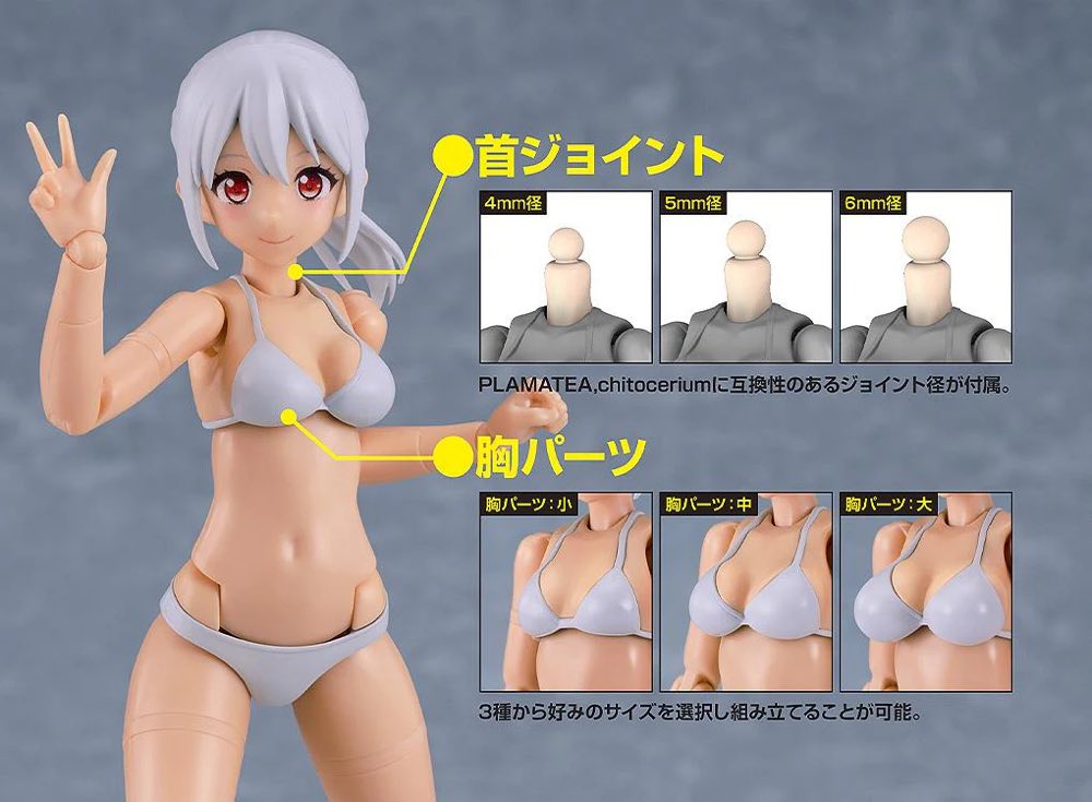 PLAMATEA Muse Body: Ichika - Bikini Ver. C Type