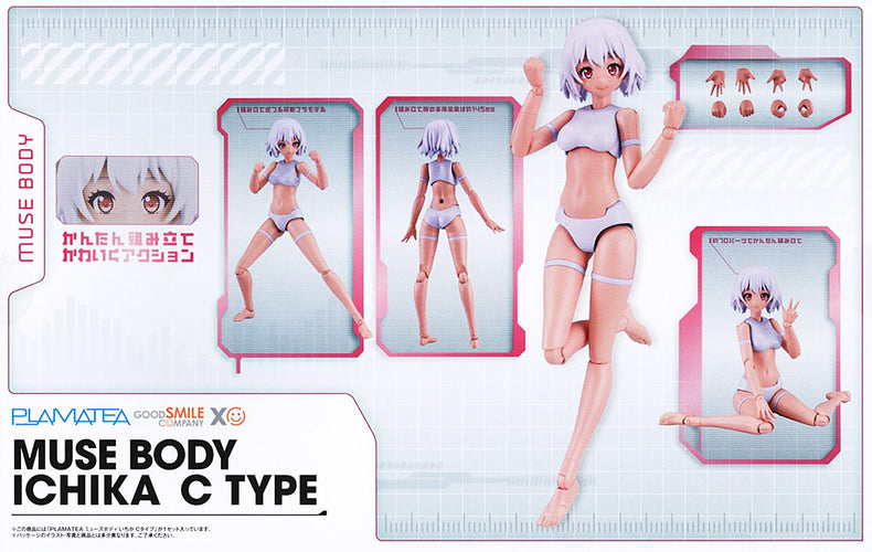 PLAMATEA Muse Body: Ichika C Type - Box image