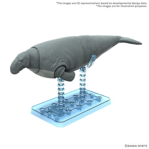 Plannosaurus Hydrodamalis Gigas - Box image