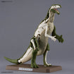 Plannosaurus Iguanodon 