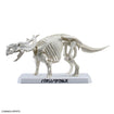 Plannosaurus Pachyrhinosaurus 