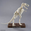 Plannosaurus Tyrannosaurus 1915 