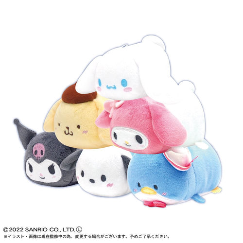 PoteKoro Sanrio Mascot Plush Keychain (6 Types / 6 Per Box) - Box image