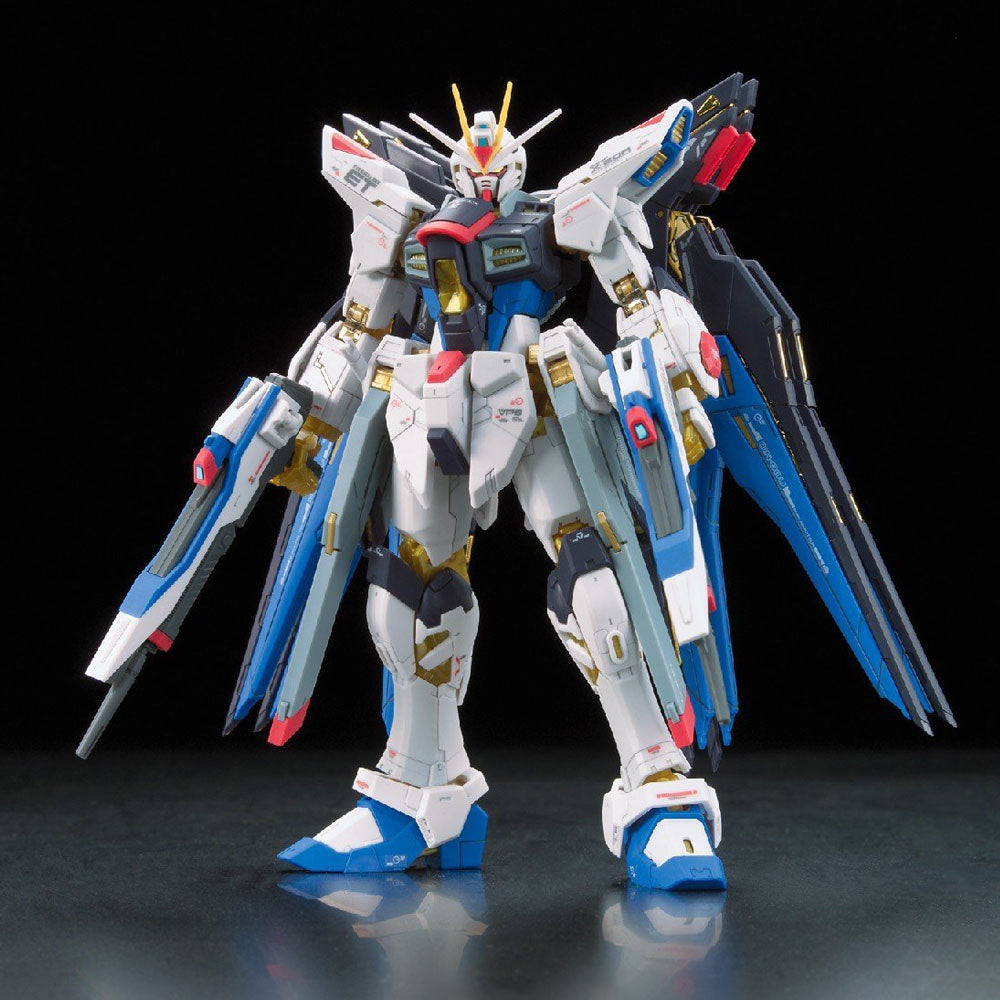RG 1/144 Strike Freedom Gundam with gold inner frame detail