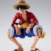 S.H.Figuarts Monkey D. Luffy (Two Years Later) (One Piece) 