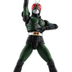 S.H.Figuarts Shinkocchou Seihou Masked Rider Black RX S.H.Figuarts Shinkocchou Seihou Masked Rider Black RX