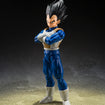 S.H.Figuarts Vegeta [Z-Fighters] (Dragon Ball Z) S.H.Figuarts Vegeta [Z-Fighters] (Dragon Ball Z)
