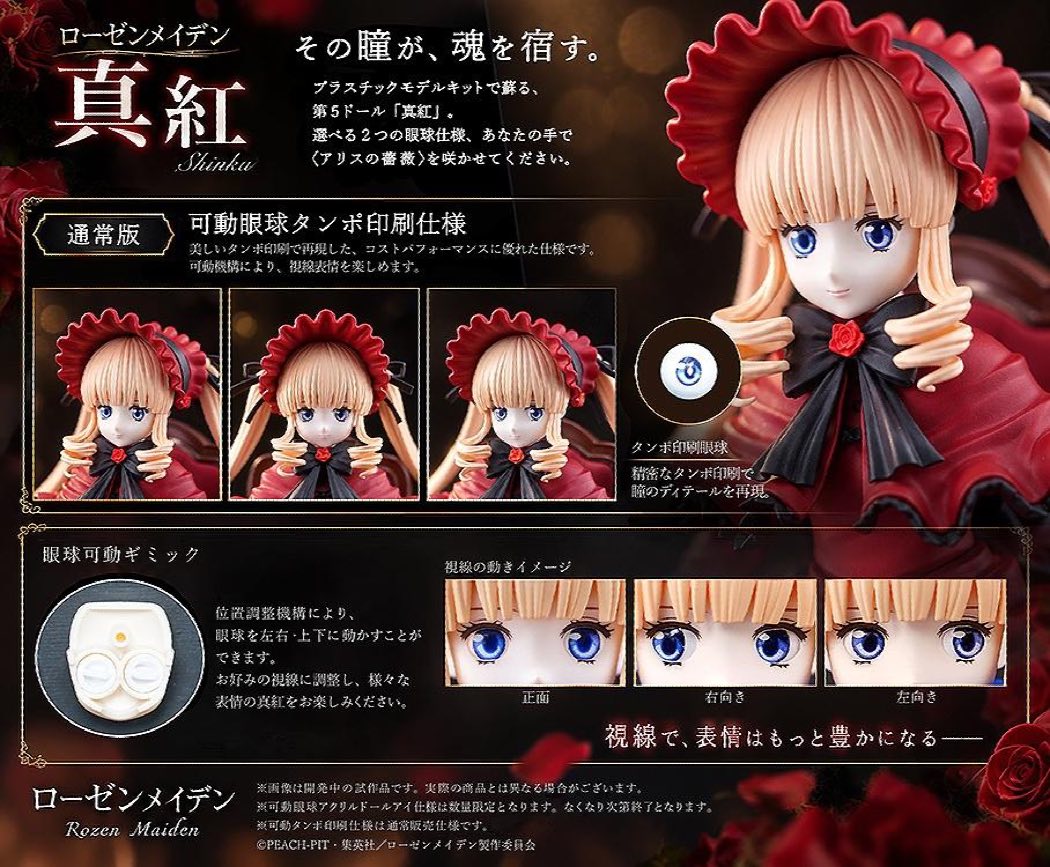 Shinku Articulated Model Kit Standard Ver. (Rozen Maiden)