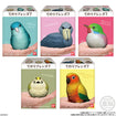 Shokugan Birds Tenori Friends 7: 01 Ezo Owl (chick) 