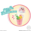 Shokugan CharaLatte Float Case Kirby (box of 12) 