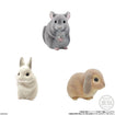 Shokugan Flocked Tenori Friends 2 (8 Types / 12 Per Box) 