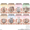 Shokugan Flocked Tenori Friends 2 (8 Types / 12 Per Box) 