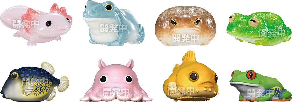 Shokugan Glossy Tenori Friends: Amphibians & Sea Creatures (8 types / 12 per box) - Box image