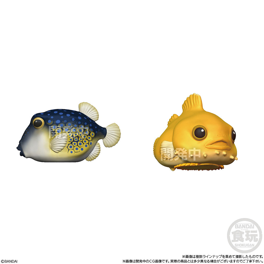 Shokugan Glossy Tenori Friends: Amphibians & Sea Creatures (Box of 12)